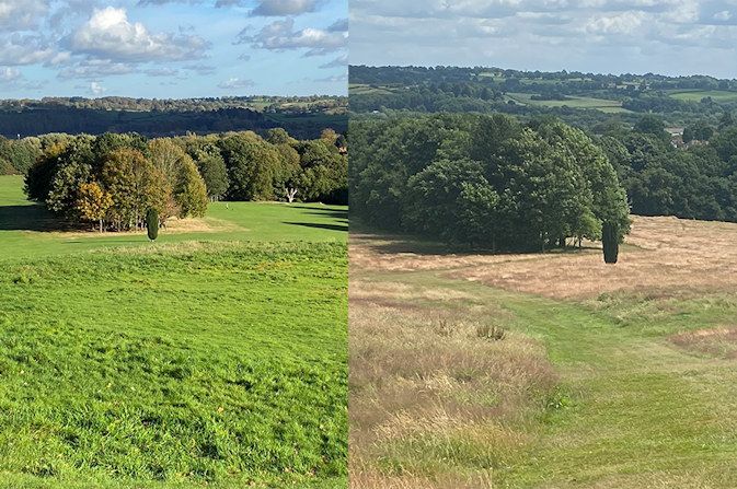 Similar views of Allestree Park taken in November 2021 when rewilding project announced, and July 2023