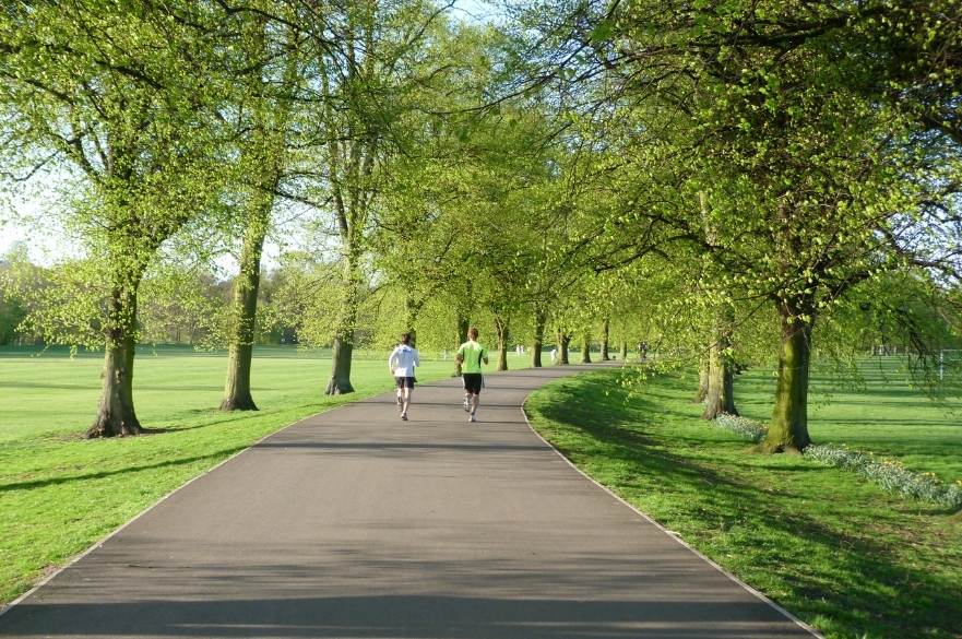 runners in darley park