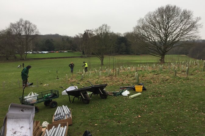 tree planting in Derby Parks with Volunteers 